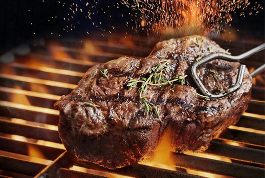 The Ultimate Grill